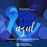 Novembro Azul